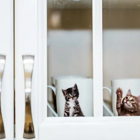 Apartament Toro Apartamentai - Centras