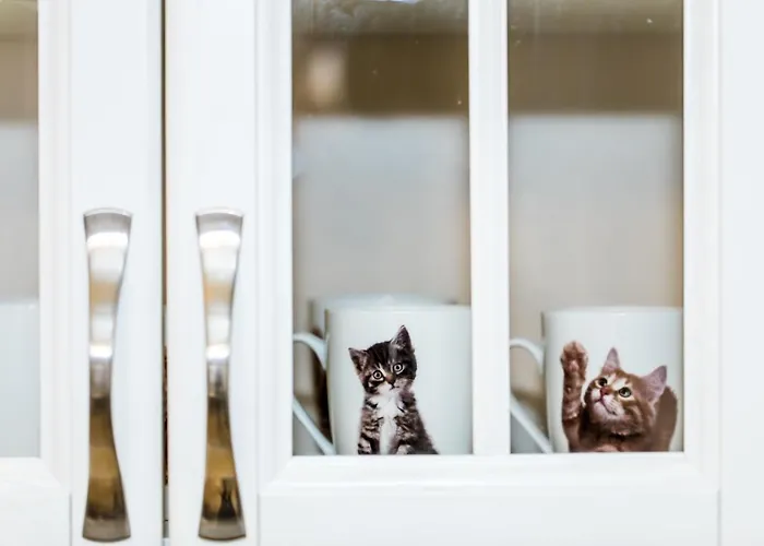 Lejlighed Toro Apartamentai - Centras