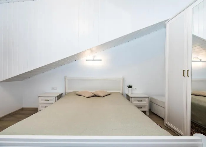 Toro Apartamentai - Centras Apartment *